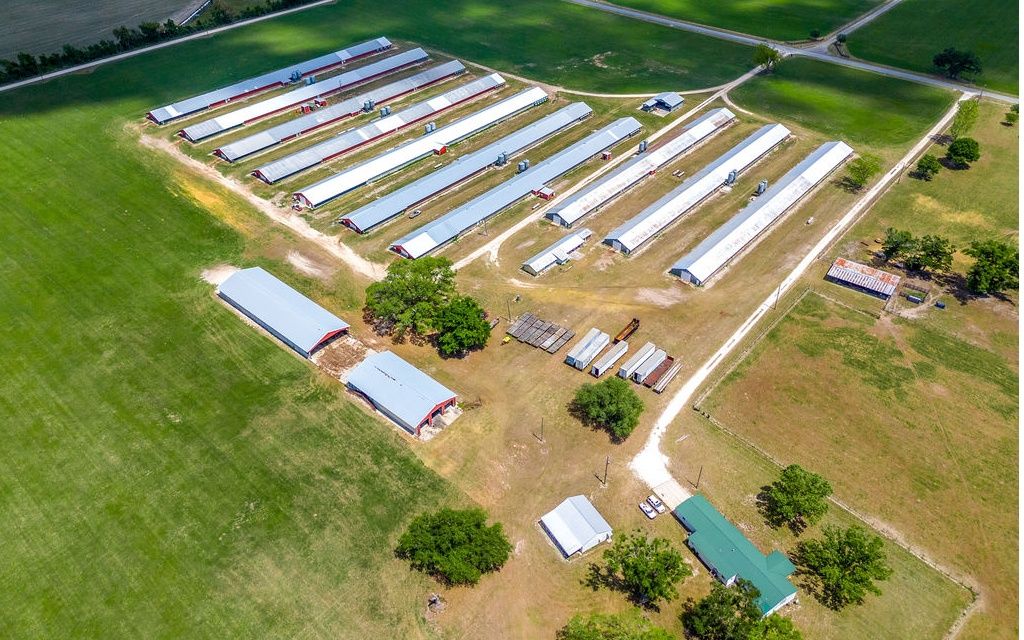 Photo of TBD-1 129th Rd, McAlpin, FL 32062 (MLS # 131314)