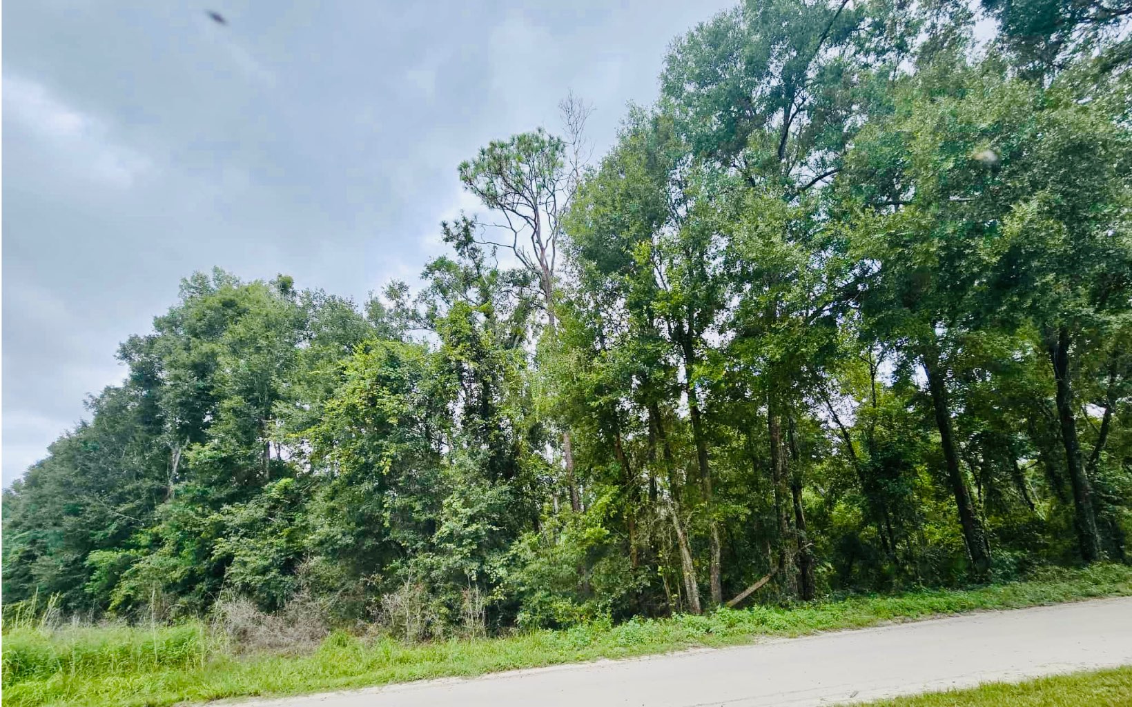 Photo 1 of 7 — 00000 139TH DR, OBrien 32071