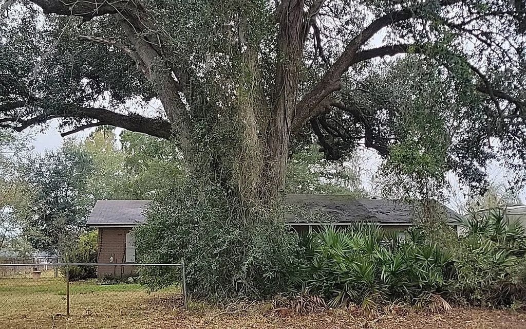 Photo of 350 Bulls Bay Hwy, Other, FL 32220 (MLS # 130265)