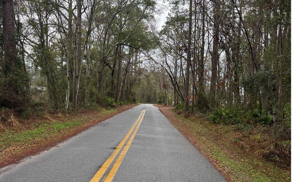 Photo of 177 SW Zierke Drive, Lake City, FL 32024 (MLS # 126121)