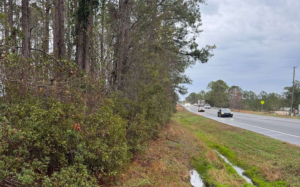 Photo of 177 SW Zierke Drive, Lake City, FL 32024 (MLS # 126121)