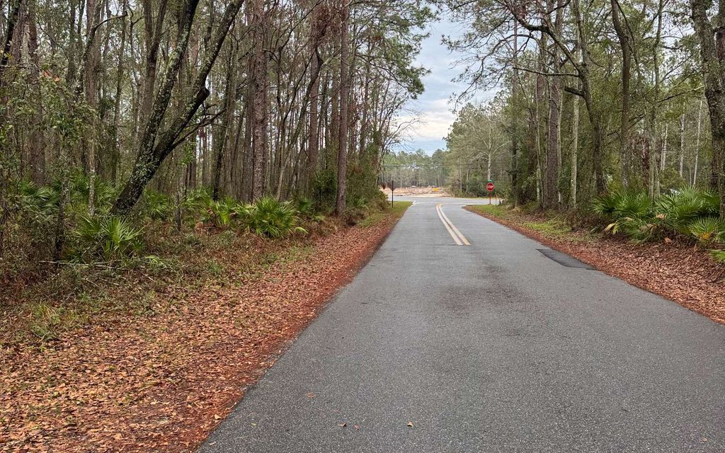 Photo of 177 SW Zierke Drive, Lake City, FL 32024 (MLS # 126121)