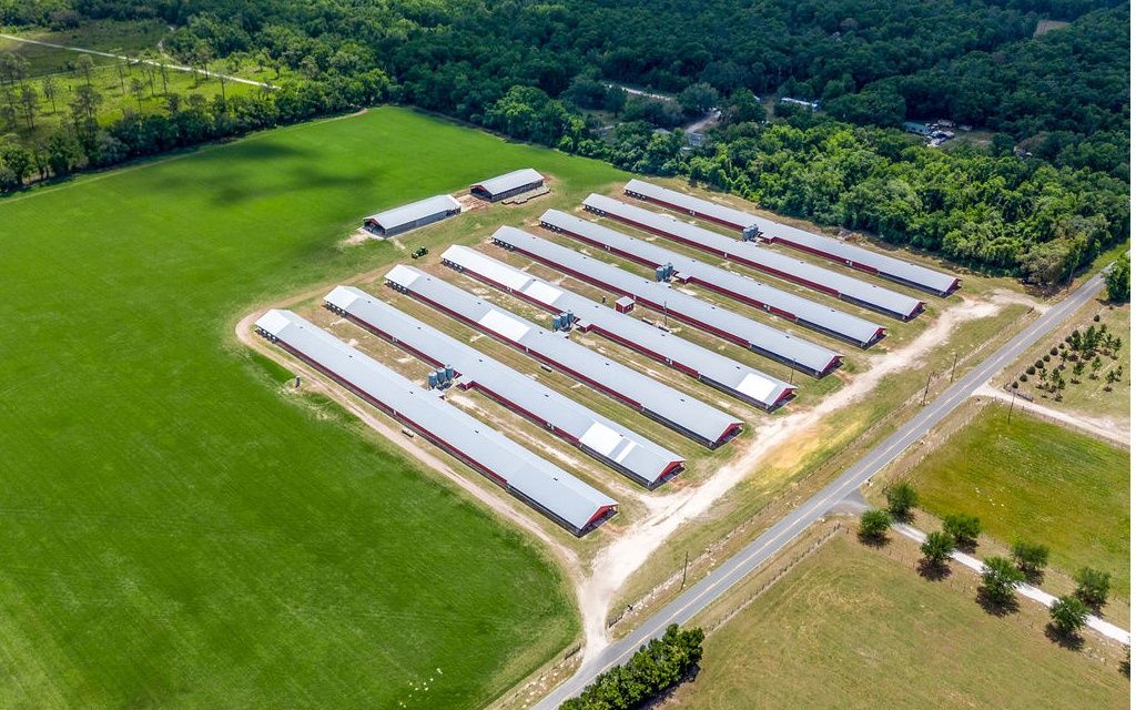 Photo of TBD-2 129th Rd, McAlpin, FL 32062 (MLS # 131315)