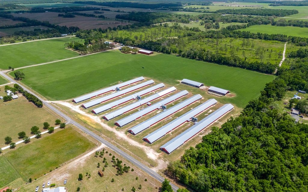 Photo of TBD-2 129th Rd, McAlpin, FL 32062 (MLS # 131315)