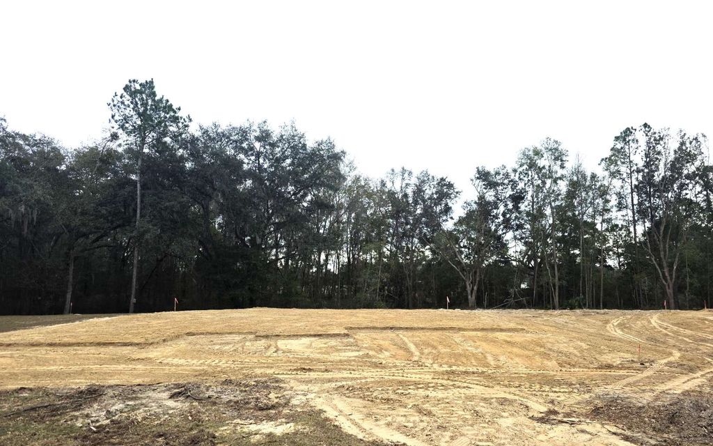 Photo of 581 SW Bellflower Dr, Lake City, FL 32024 (MLS # 129847)