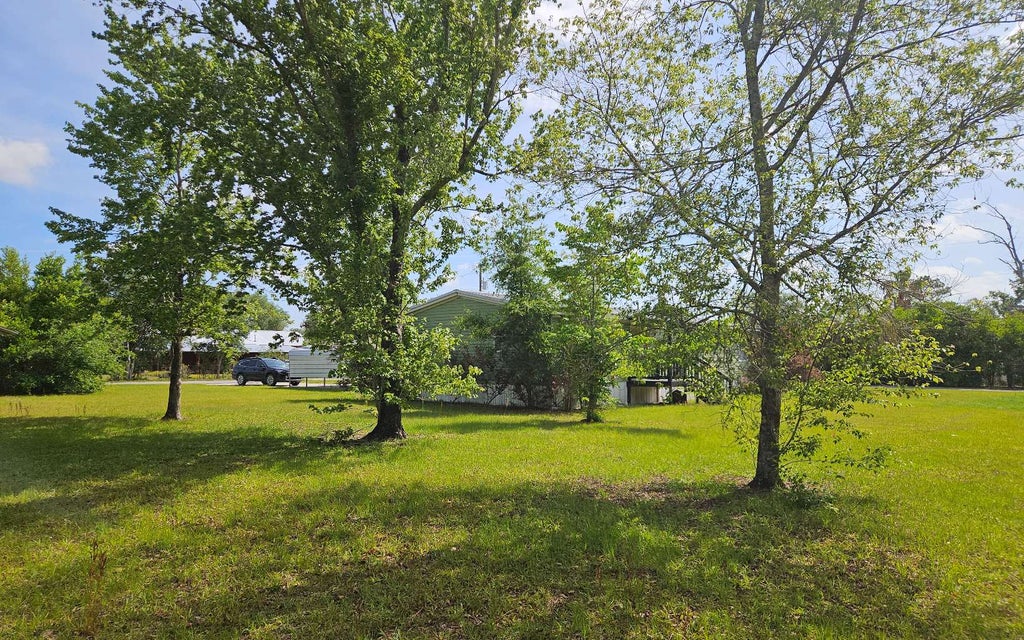 Photo of 1442 NE Avocado Street, Madison, FL 32340 (MLS # 131355)