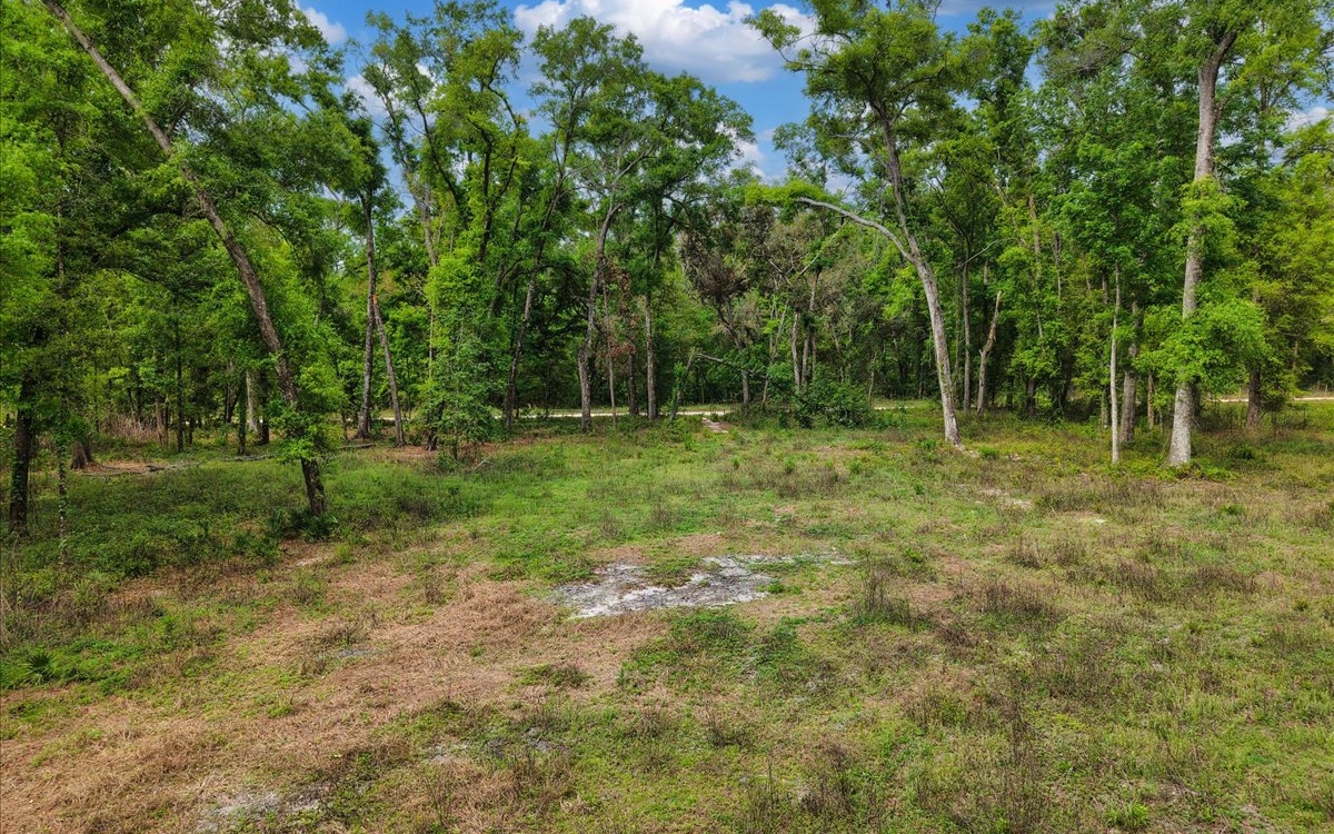 Photo 1 of 9 — 00 139TH DR, OBrien 32071