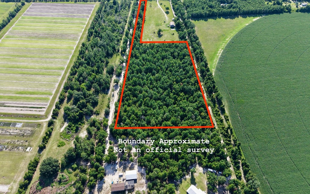 Photo of 698 NE Beulah Church Rd, Lee, FL 32059 (MLS # 131733)