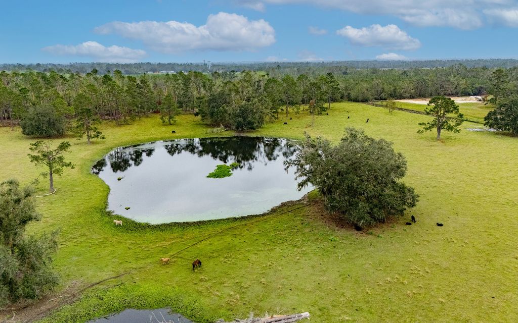 Photo of 3928 NW 69th Blvd, Jennings, FL 32053 (MLS # 125288)