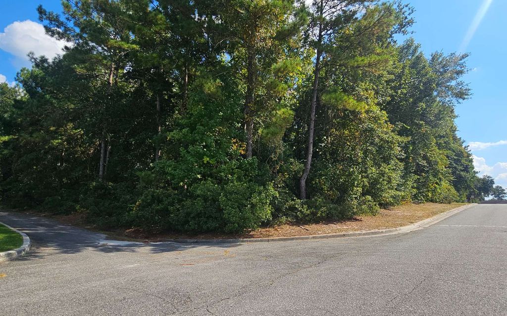 Photo of SW Newland Way, Lake City, FL 32025 (MLS # 128581)
