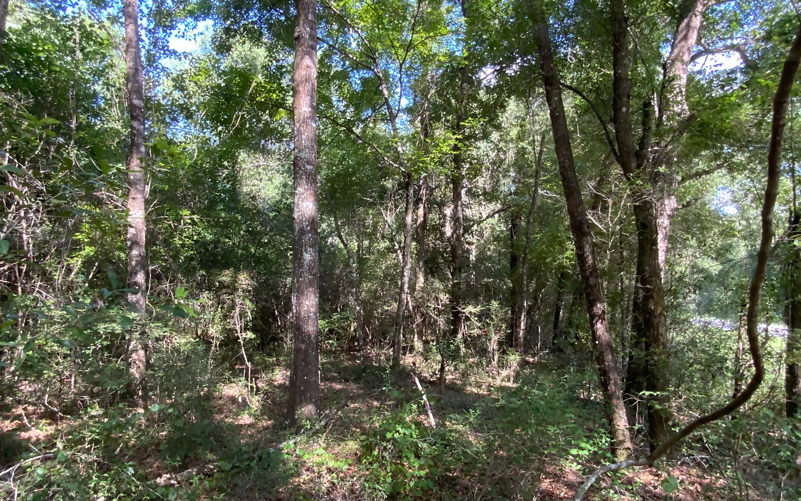Photo 1 of 8 — LOT18 CR 349, Live Oak 32060