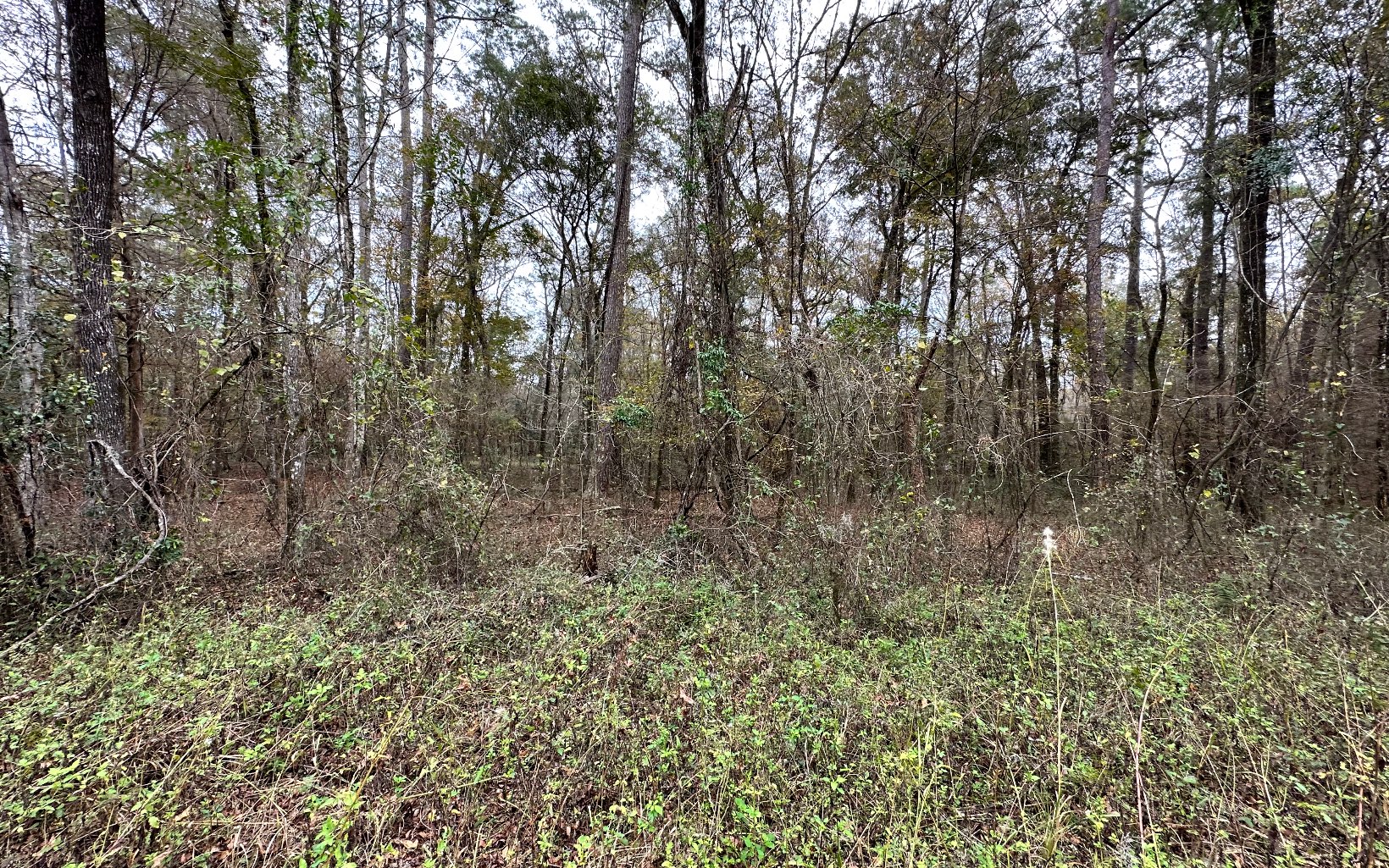 Photo 1 of 3 — TBD 12TH TERRACE LOT 4, Live Oak, FL 32060