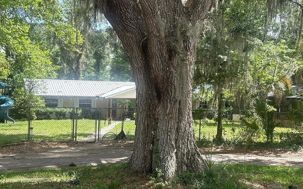 Photo of 150 SW 98th Ln, Other, FL 34476 (MLS # 132519)