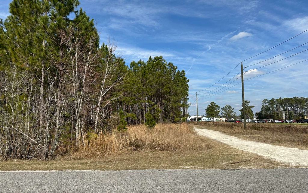 Photo of TBD SW Commerce Dr, Lake City, FL 32025 (MLS # 128753)