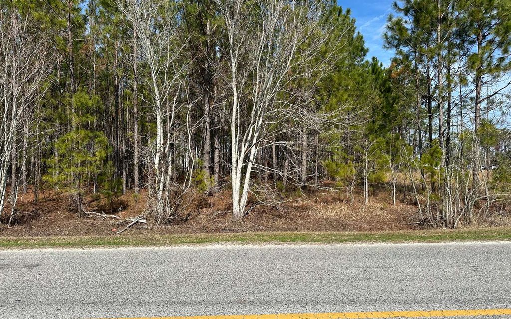 Photo of TBD SW Commerce Dr, Lake City, FL 32025 (MLS # 128753)