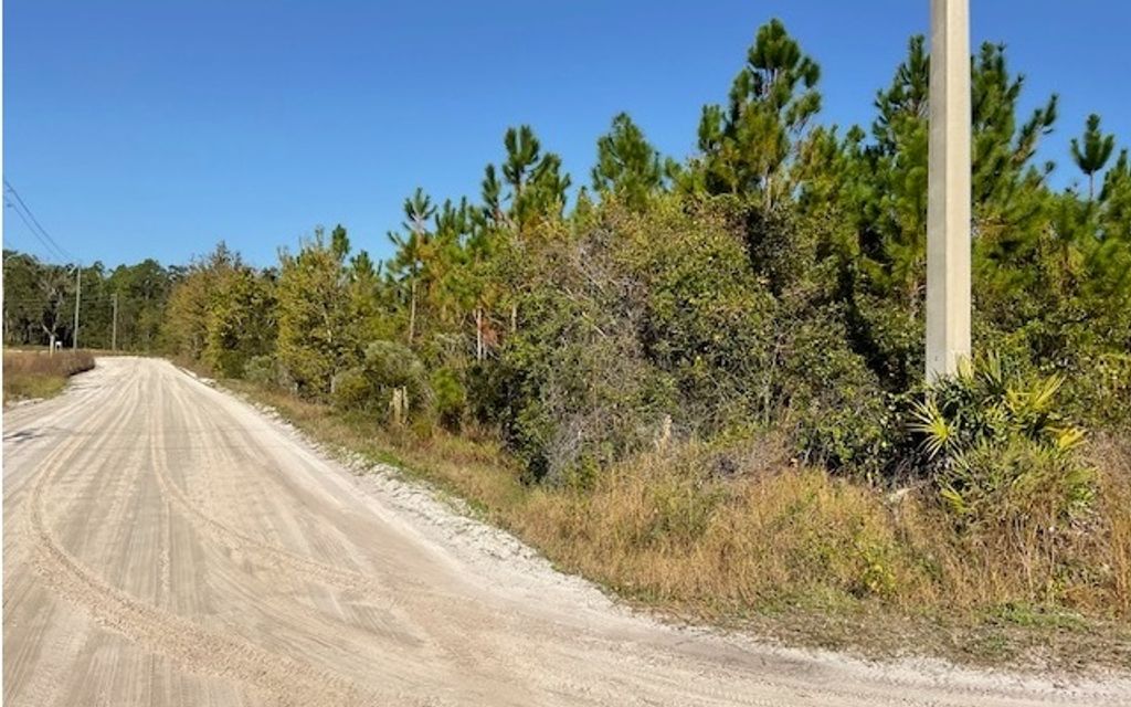 Photo of Allen Rhoden Road, Sanderson, FL 32040 (MLS # 125171)