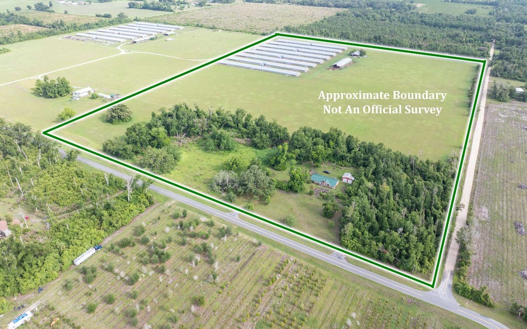 Photo of 1175 SW County Road 351, Mayo, FL 32066 (MLS # 131719)