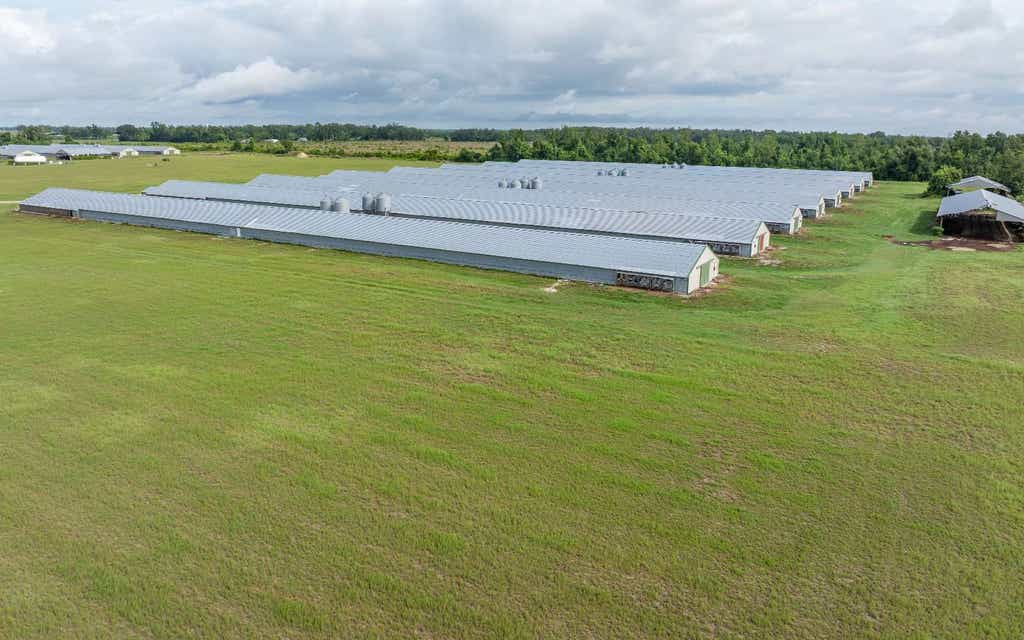 Photo of SW Ford Road, Mayo, FL 32066 (MLS # 131719)