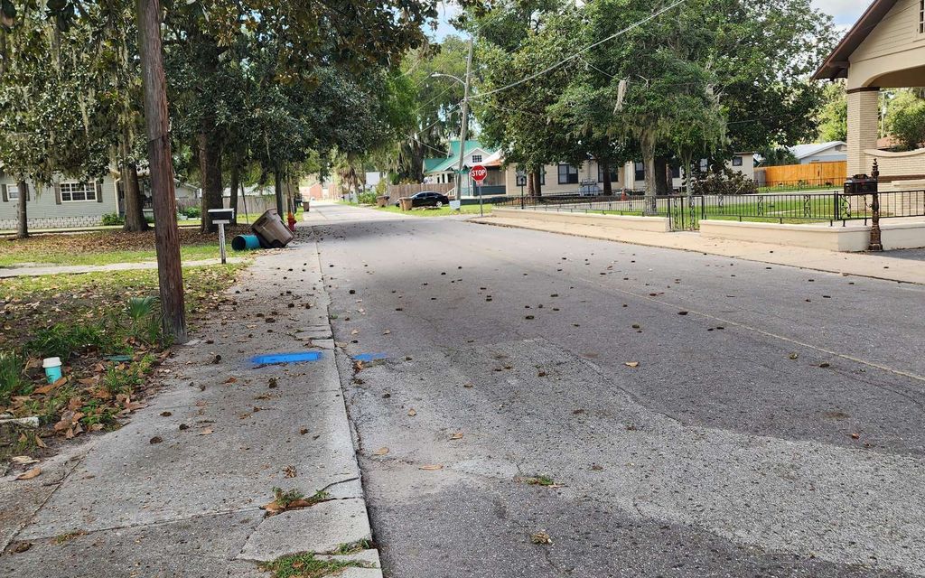 Photo of 350 NW Desoto St, Lake City, FL 32055 (MLS # 128748)