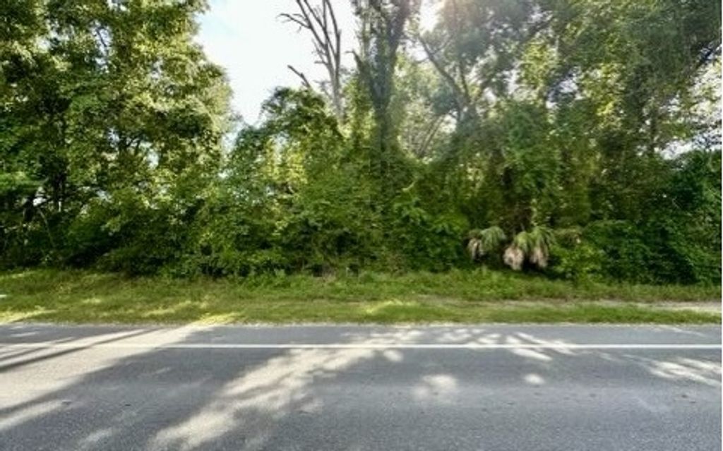 Photo of S Main St, Bell, FL 32619 (MLS # 127797)