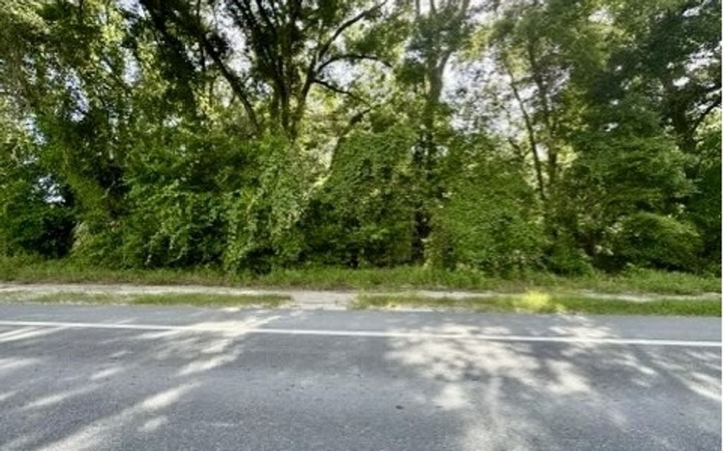 Photo of S Main St, Bell, FL 32619 (MLS # 127797)
