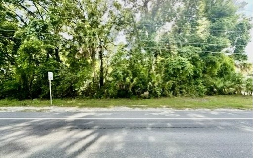 Photo of S Main St, Bell, FL 32619 (MLS # 127797)