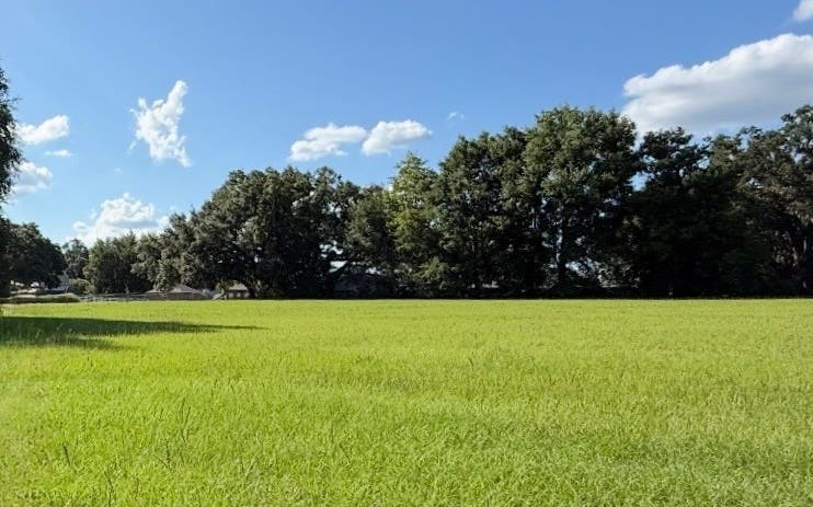 Photo of 1143 SW Troy ST, Lake City, FL 32024 (MLS # 132225)