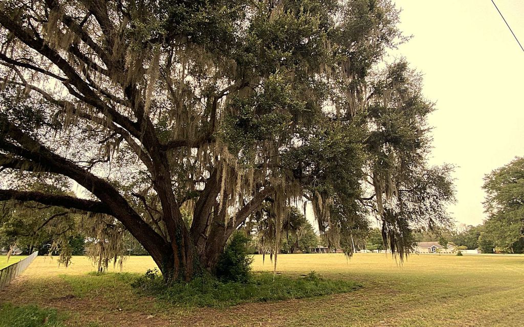 Photo of 1143 SW Troy ST, Lake City, FL 32024 (MLS # 132225)