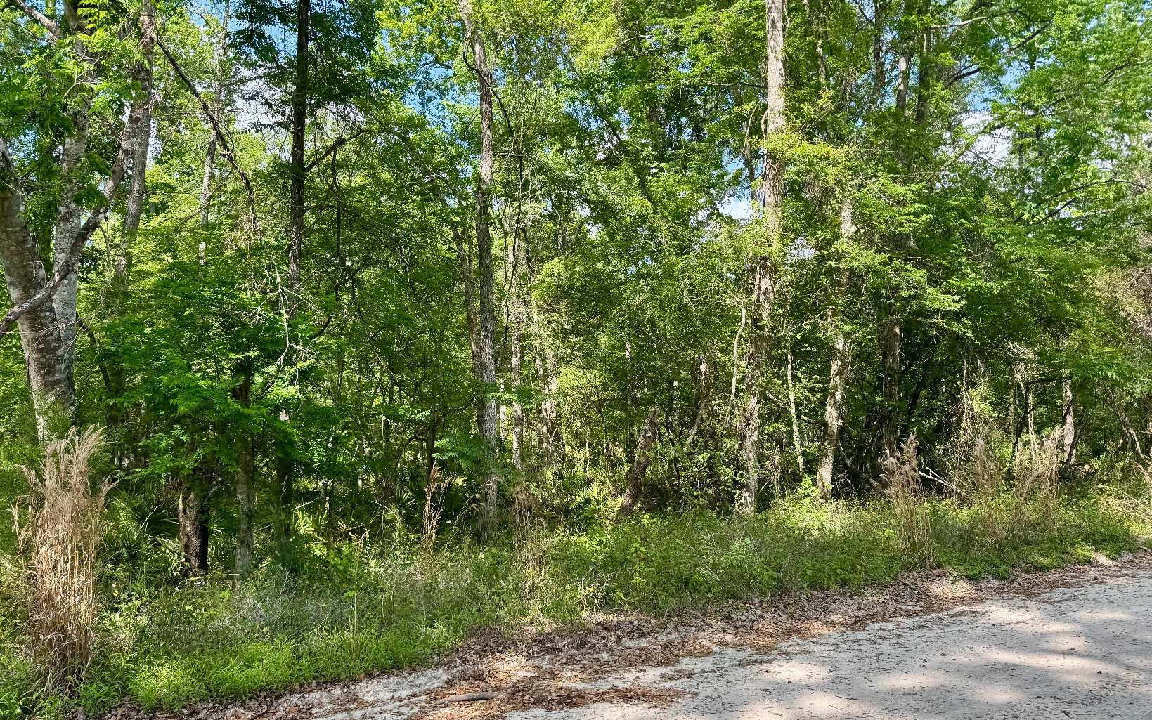 Photo 1 of 10 — LT112 246TH TRAIL, OBrien 32071