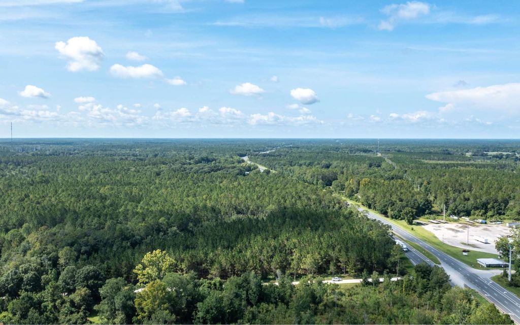 Photo of 0 N US Hwy 301, Lawtey, FL 32058 (MLS # 129935)