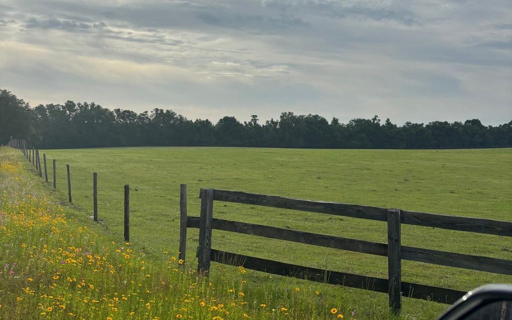 Photo of 16174 176th St, Live Oak, FL 32060 (MLS # 129584)