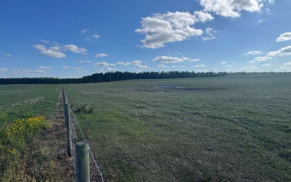 184TH ST, MC ALPIN, FL 32062 - Image 9dec7a61114ce21328752e72c0f82e7d/960228167