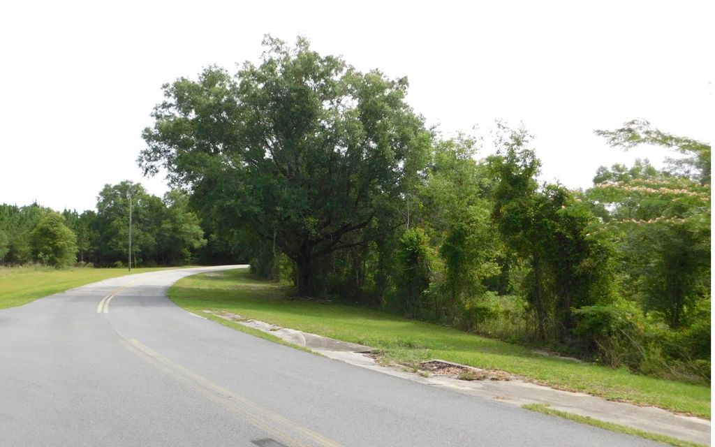 Photo of NW Hall Of Fame Dr (19), Lake City, FL 32055 (MLS # 128364)