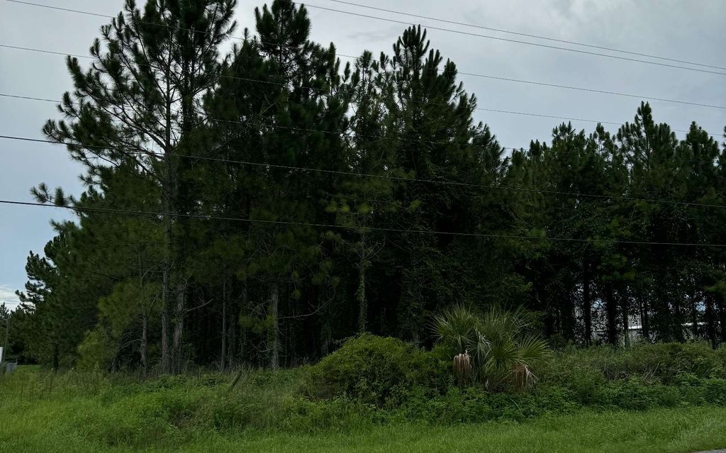 Photo of TBD SW Arrowhead Terrace, Lake City, FL 32024 (MLS # 124171)