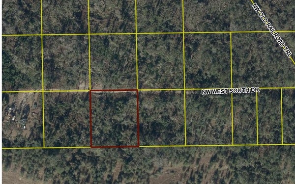 SOUTH DR, MAYO, FL 32066 - Image af894fae853aa0ff582d8e867e80aed6/3736843755