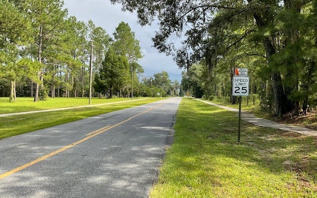 Photo of TBD Cr-137, Wellborn, FL 32094 (MLS # 132883)