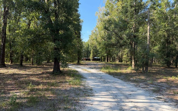 539 SW JODI CT, LAKE CITY, FL 32024 - Image b3d43e800f4aaaac087d06edd9957c9e/3084177025