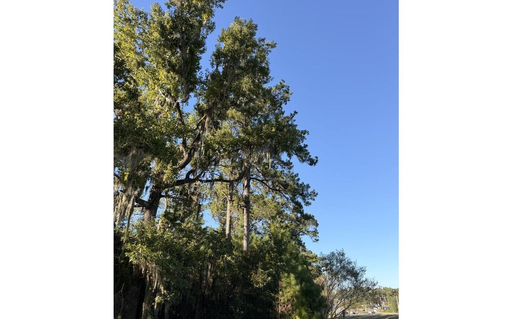 Photo of SW Sr-47/US-41, Lake City, FL 32025 (MLS # 133719)