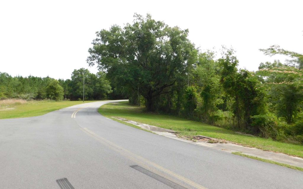 Photo of 577 NW Hall Of Fame Drive, Lake City, FL 32055 (MLS # 128368)