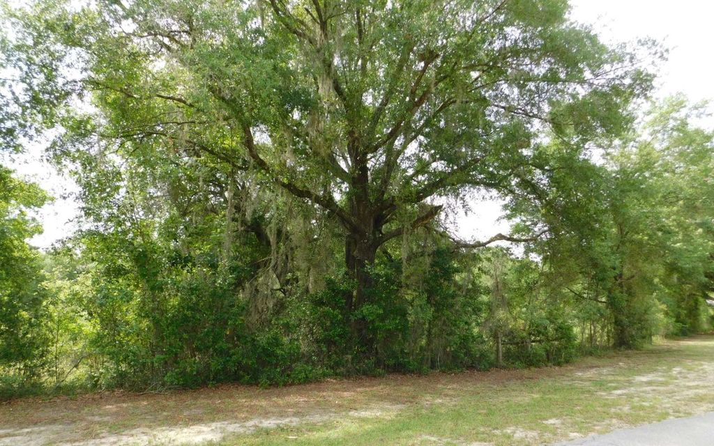 Photo of 577 NW Hall Of Fame Drive, Lake City, FL 32055 (MLS # 128368)