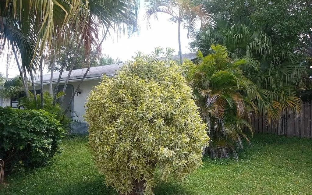 Photo of 4302 NW 96th Ter, Other, FL 33351 (MLS # 131701)