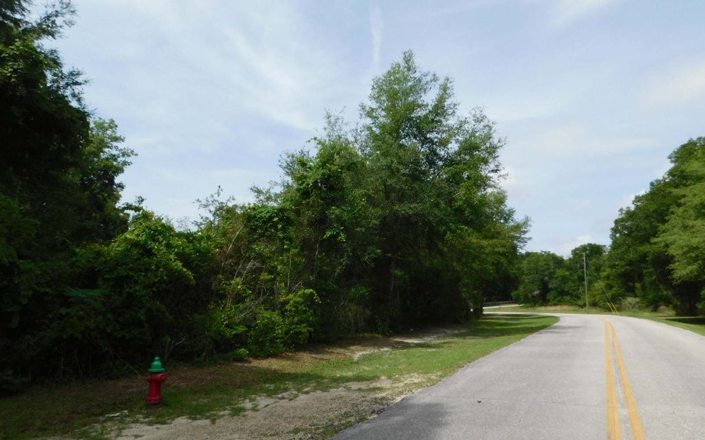 Photo of NW Hall Of Fame Dr (20), Lake City, FL 32055 (MLS # 128365)