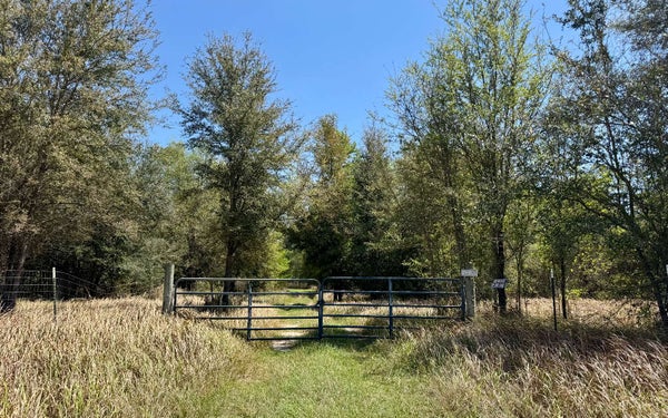 NW 57TH BLVD, JENNINGS, FL 32053 - Image c03adecfc322eef17905965ed4e7e134/842029664