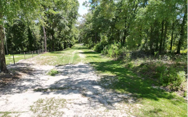 188TH TRL, LIVE OAK, FL 32060 - Image c089726ed0bb52d4bd3dbbfd1200cbe2/580103704