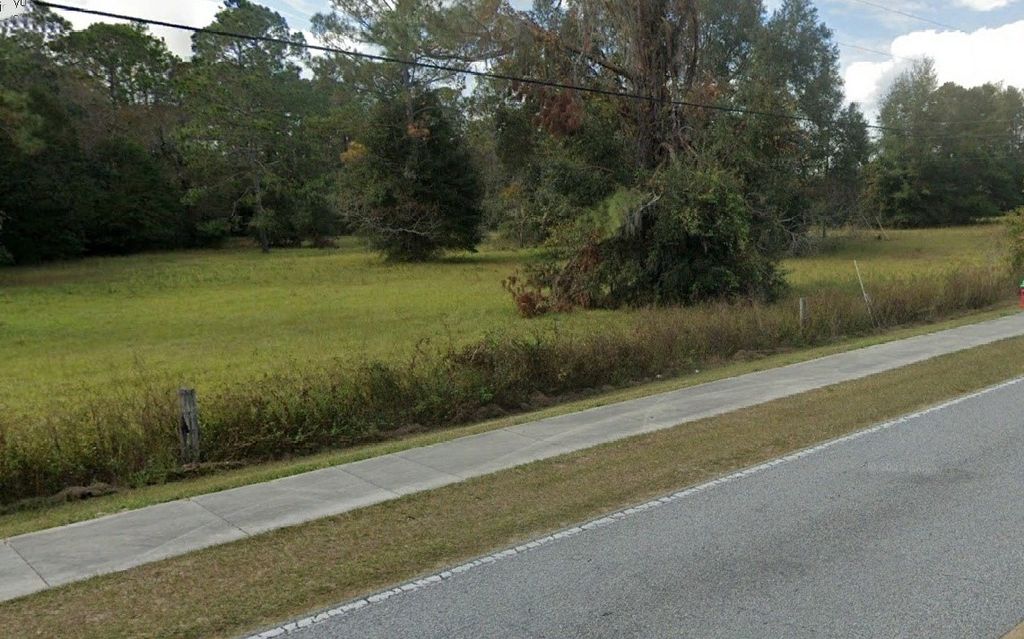 Photo of 818 SW Cr-252b, Lake City, FL 32024 (MLS # 122215)