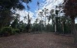 US-90 W, LIVE OAK, FL 32060 - Image c1d5e1dfbc261bd7064aee21f7d54cba/2085120531