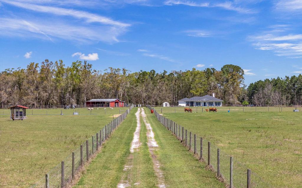 Photo of 3725 172nd Street, Wellborn, FL 32094 (MLS # 126081)