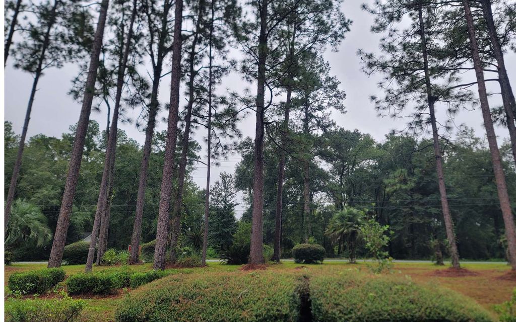 Photo of 3380 SW Sisters Welcome Road, Lake City, FL 32024 (MLS # 124742)