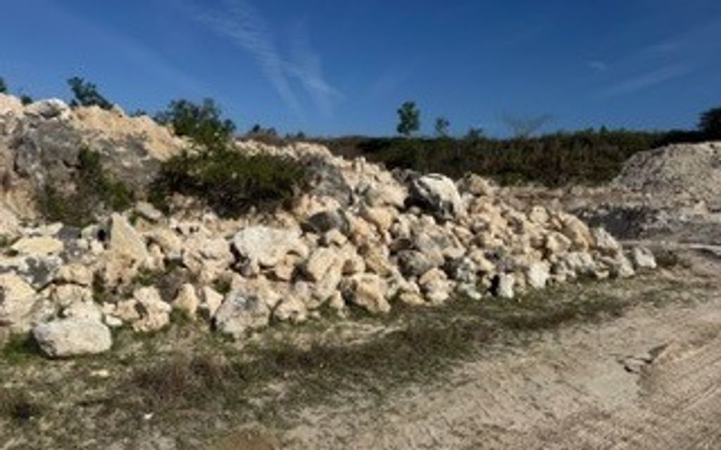 Photo of 939 NW Harold Winburn Rd, Mayo, FL 32066 (MLS # 131166)