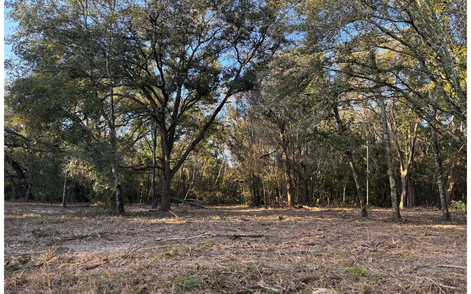 Photo 1 of 18 — TBD 129TH RD, McAlpin 32062